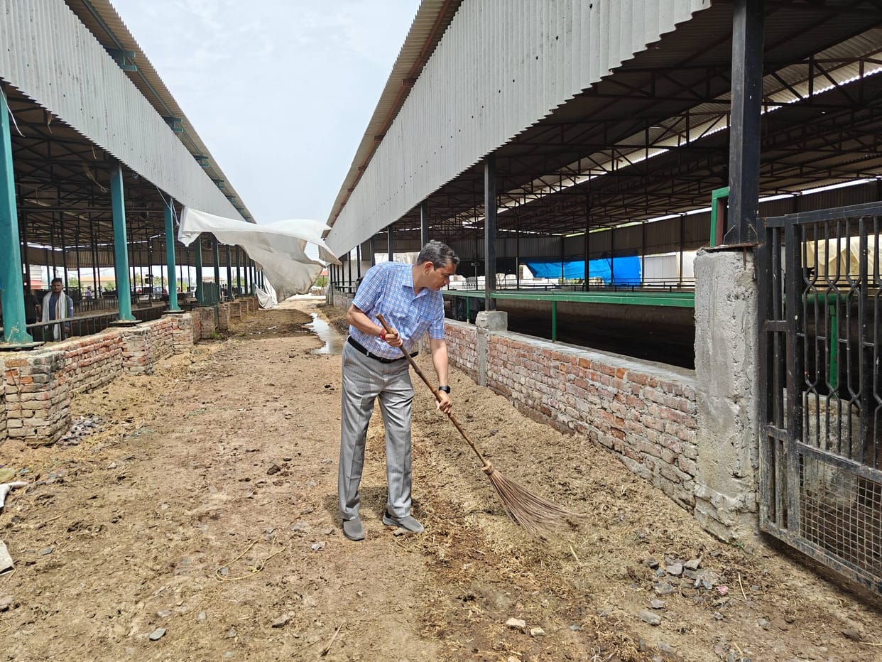 District Magistrate Performs 'Go-Pujan' at Devaraha Baba Cow Shelter