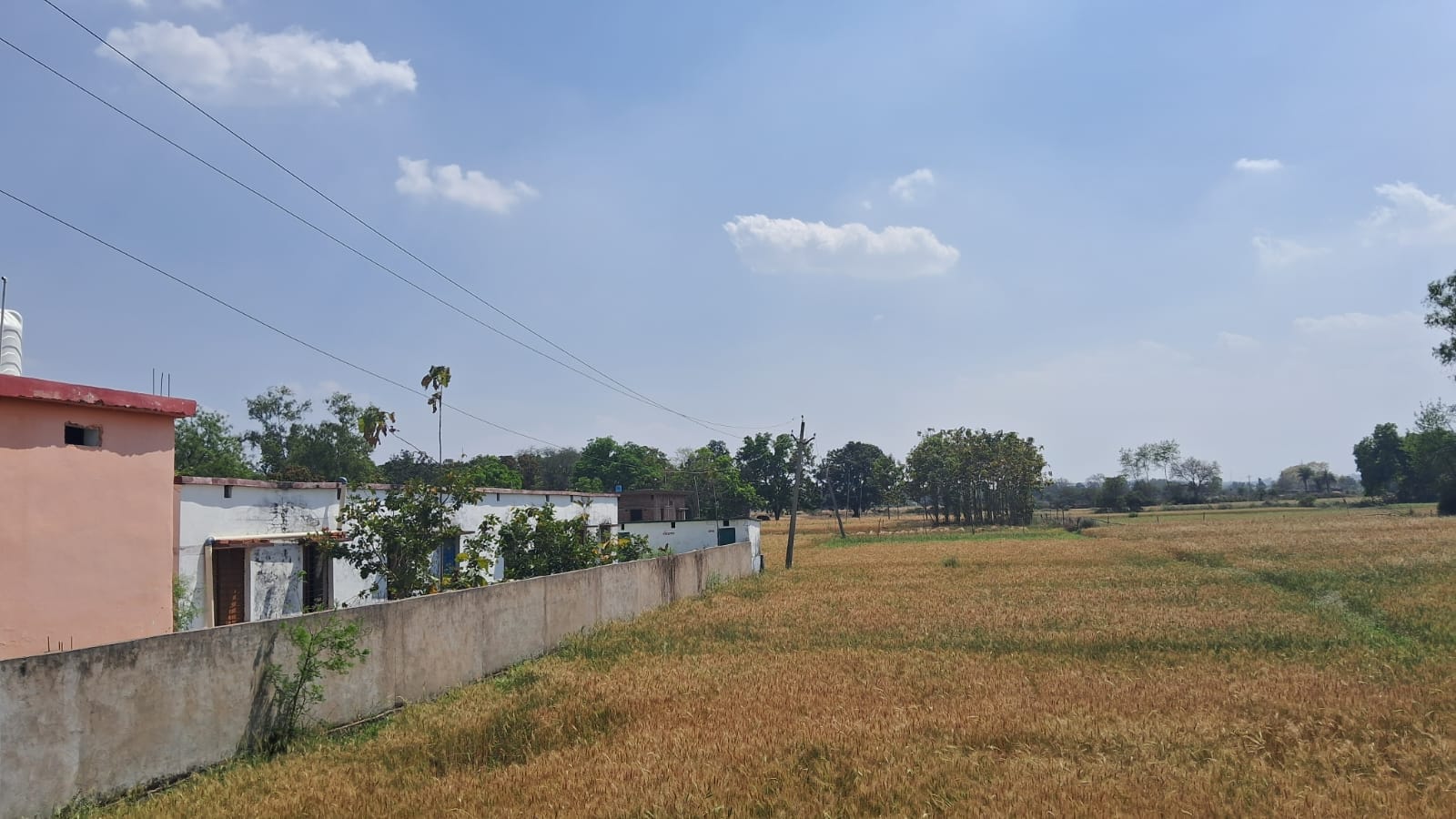 Let not sagging wires set the farmers' hard work ablaze.