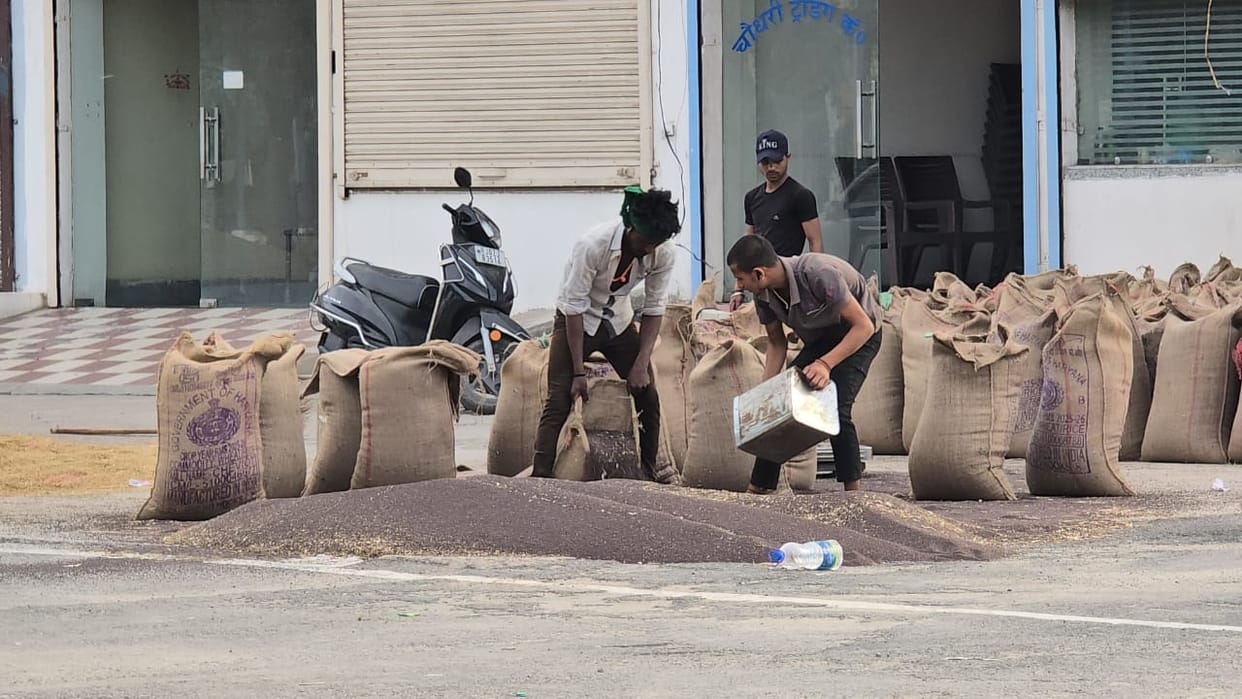Due to lack of data on the portal, farmers returned without getting gate passes, procurement could not be done.
