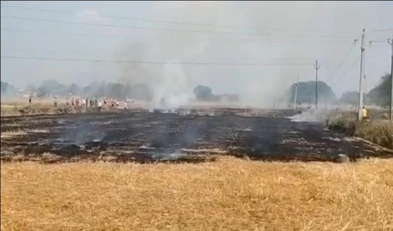 Fire broke out in the field, burning the wheat crop along with the stubble
