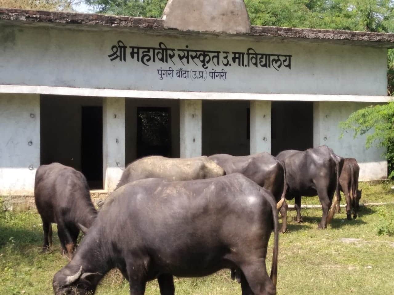 फोटो- 03 पुंगरी गांव में अपनी बदहाली को बयां करता संस्कृत विद्यालय। संवाद