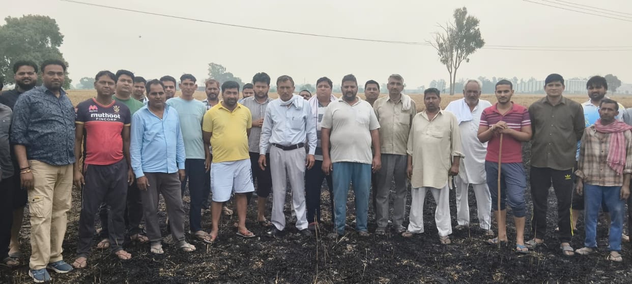 Six bighas of wheat crop burned after a wire broke and fell into the field.
