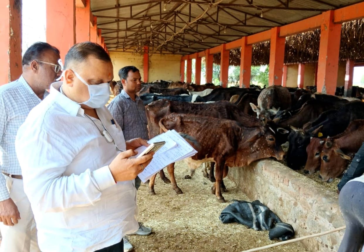 Officers rushed to cow shelters and inspected the arrangements
