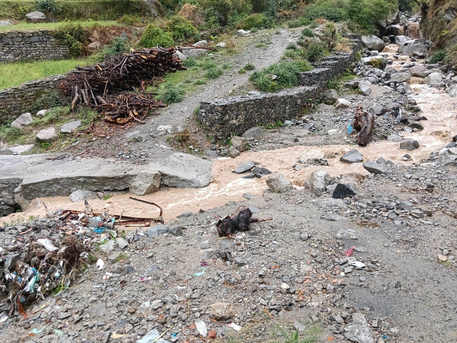 खज्जियार पंचायत के पंजियारा गांव को जाने वाले मार्ग पर बहता नाला। संवाद।