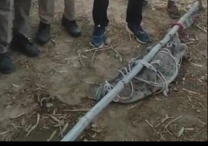 A five-foot crocodile reaches the settlement