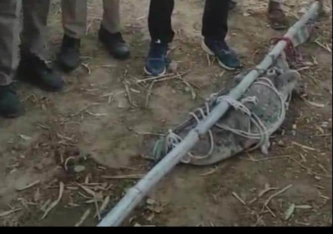 मगरमच्छ में पकड़कर अपने कब्जे में लेती पुलिस टीम।- सोशल मीडिया।