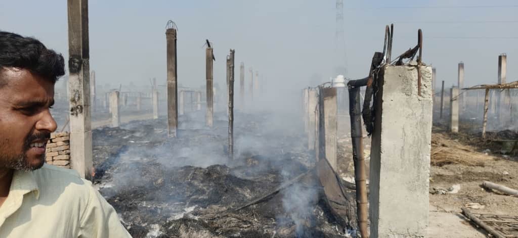 पॉल्ट्री फार्म में लगी आग के बाद का दृश्य। स्रोत : ग्रामीण