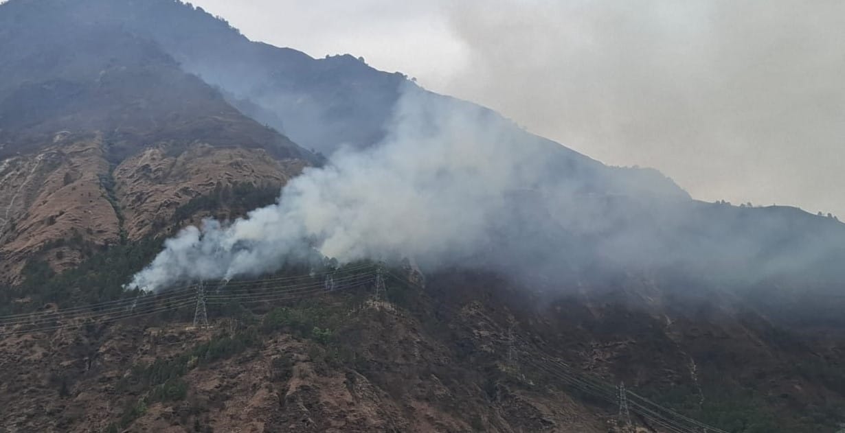 Fire Breaks Out in Hat Forest