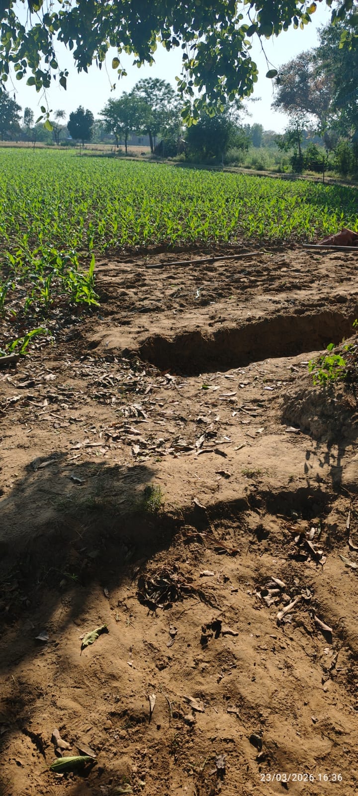 Accused of forcibly laying a road through the farm