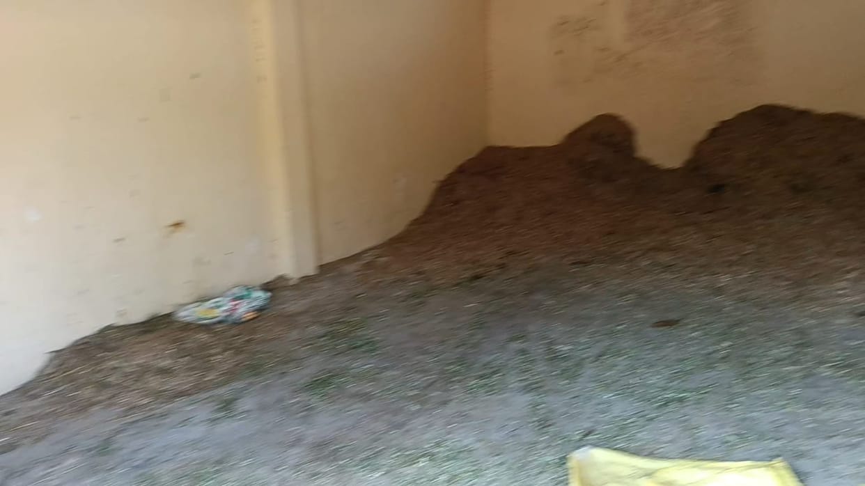 No action taken against fodder scam even after seven cattle died