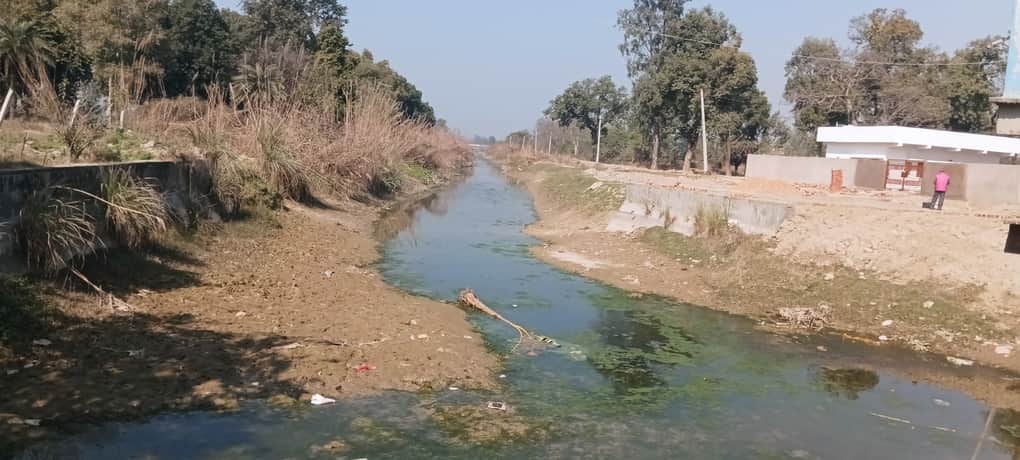 फोटो 23 पानी के अभाव में सूखी पड़ी बेवर ब्रांच गंग नहर। संवाद