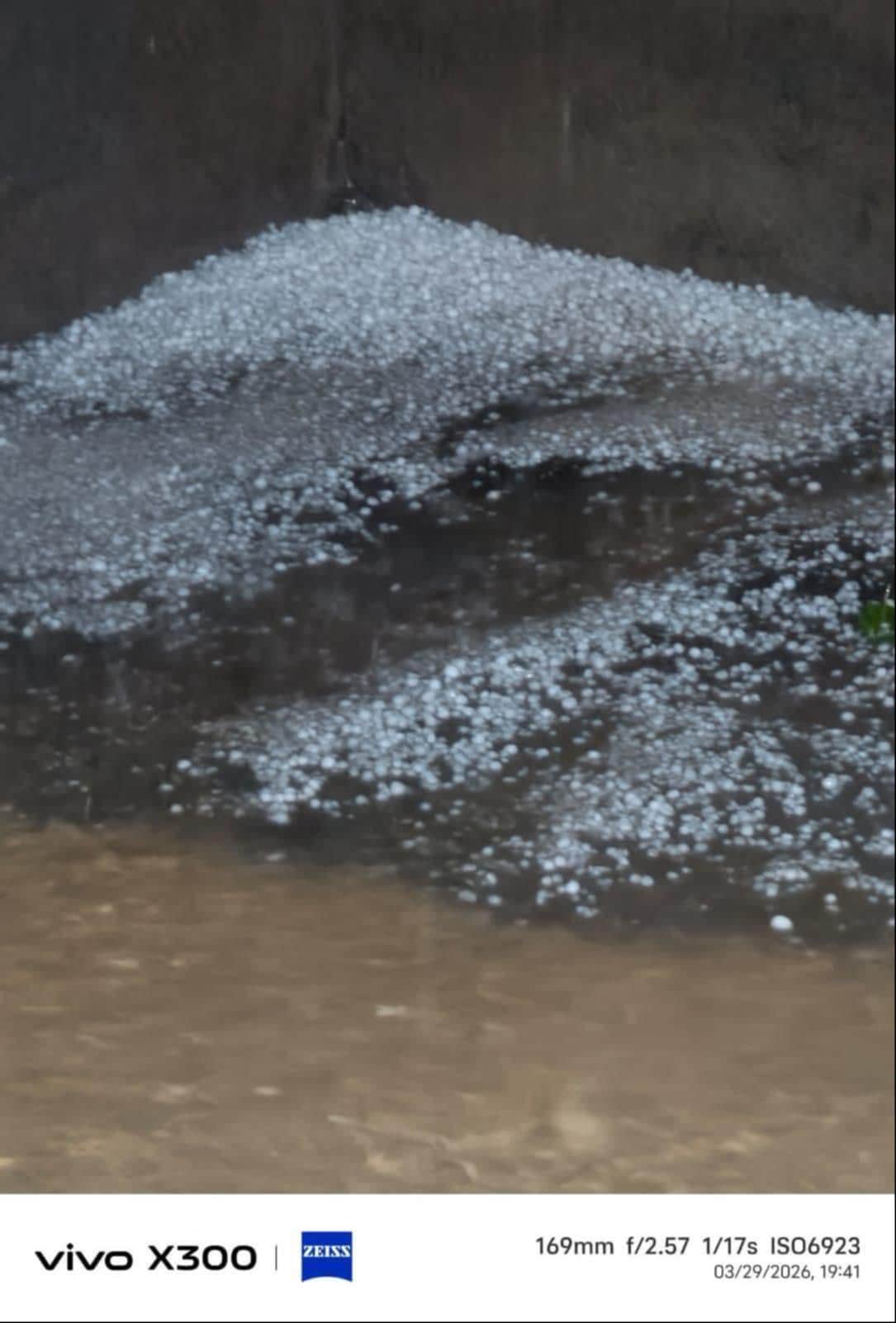 फतेहाबाद जिले में रविवार को हुई भूथनकलां गांव में ओलावृष्टि का नजारा।