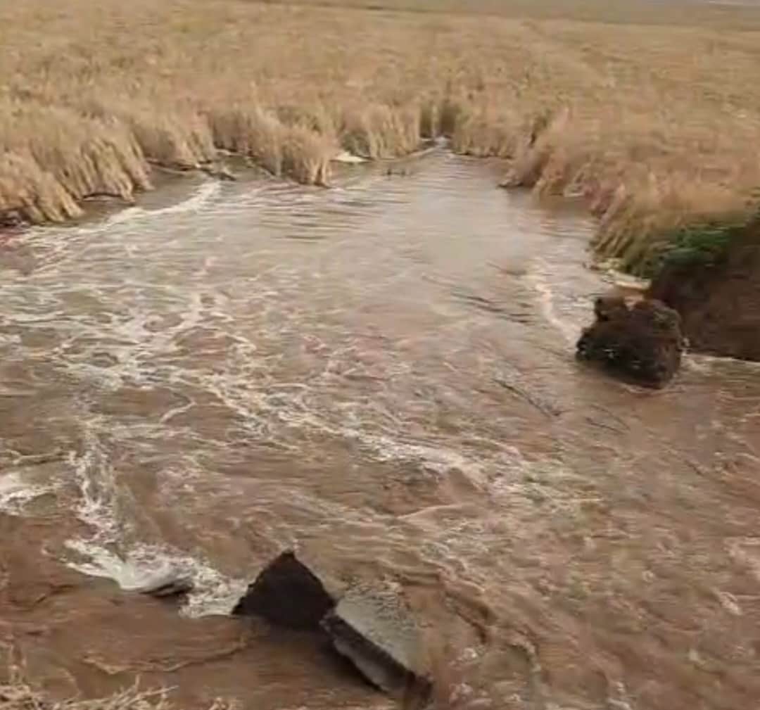 गांव लोहारी राघो माइनर टूटने से खेतों में जाता पानी