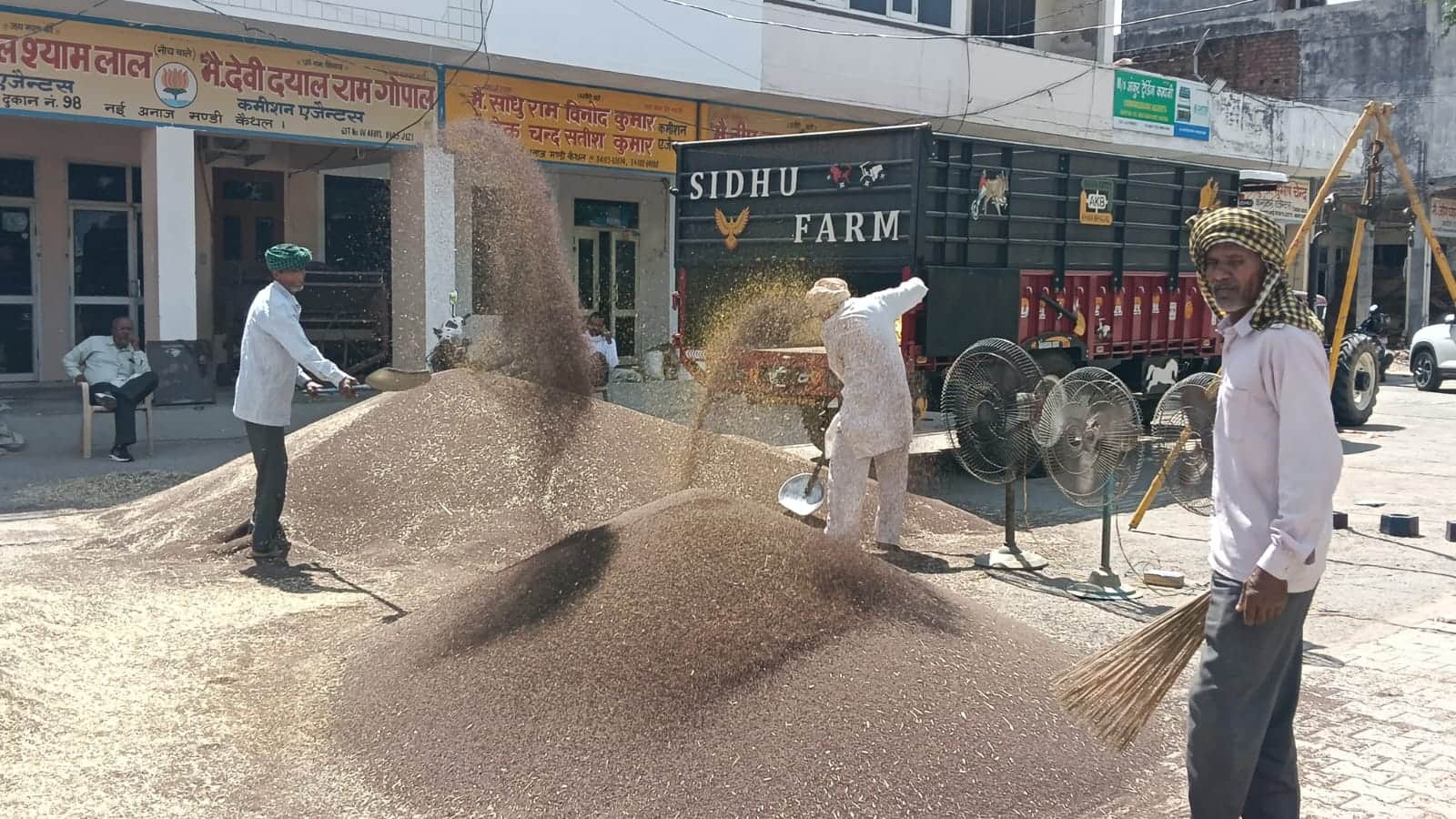 कैथल की नई अनाज मंडी में सरसों की सफाई करते मजदूर।