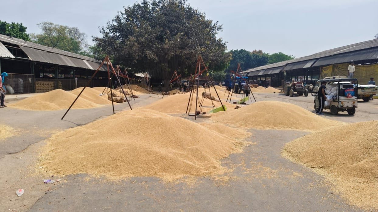 Wheat was sold cheaply at the wholesale market, with no purchases made at any centre