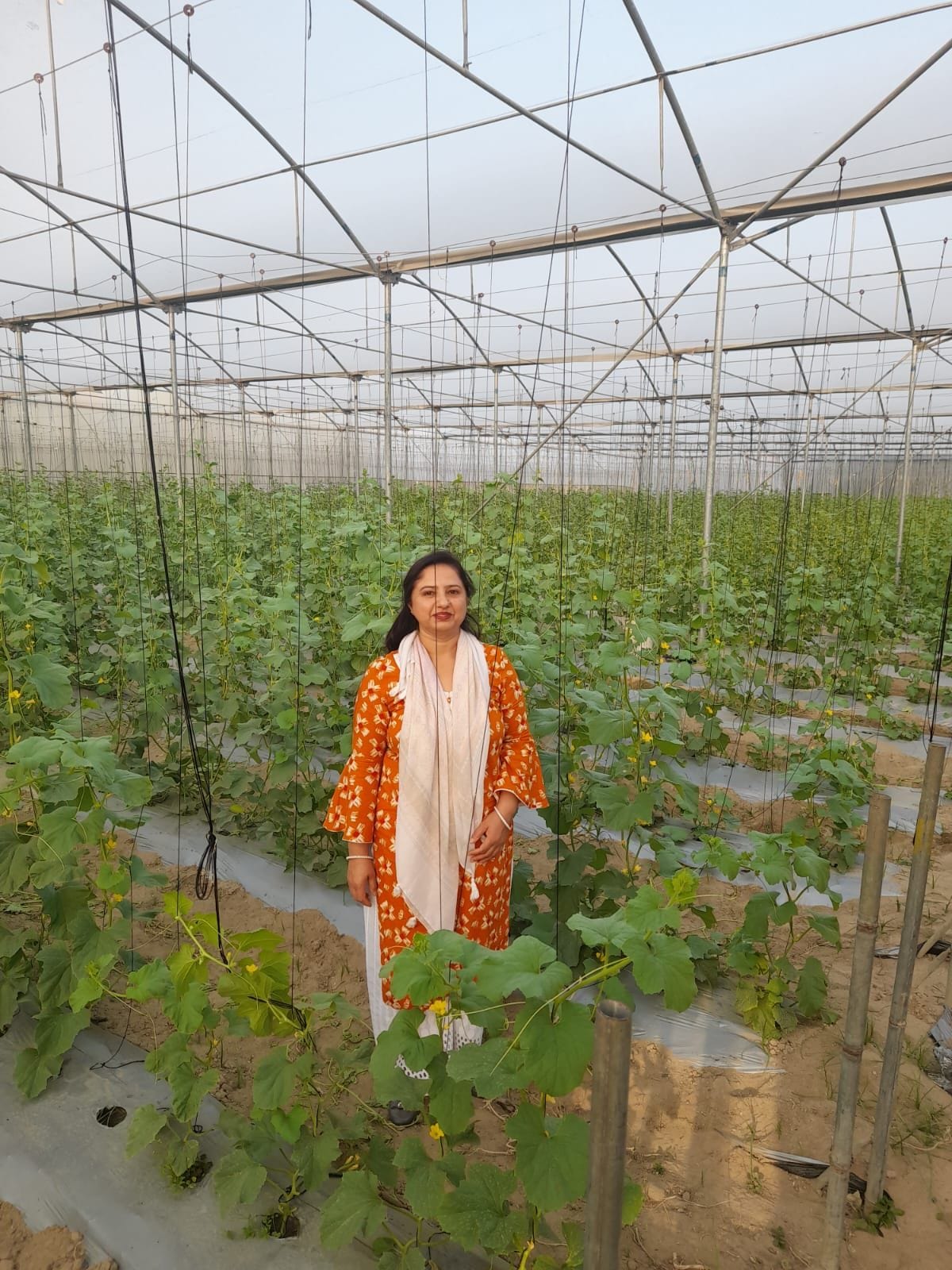Manju opened a way to earn money by growing vegetables.