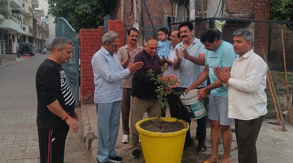 The annual celebration of the clean and beautiful society was celebrated by planting saplings and new potted plants.
