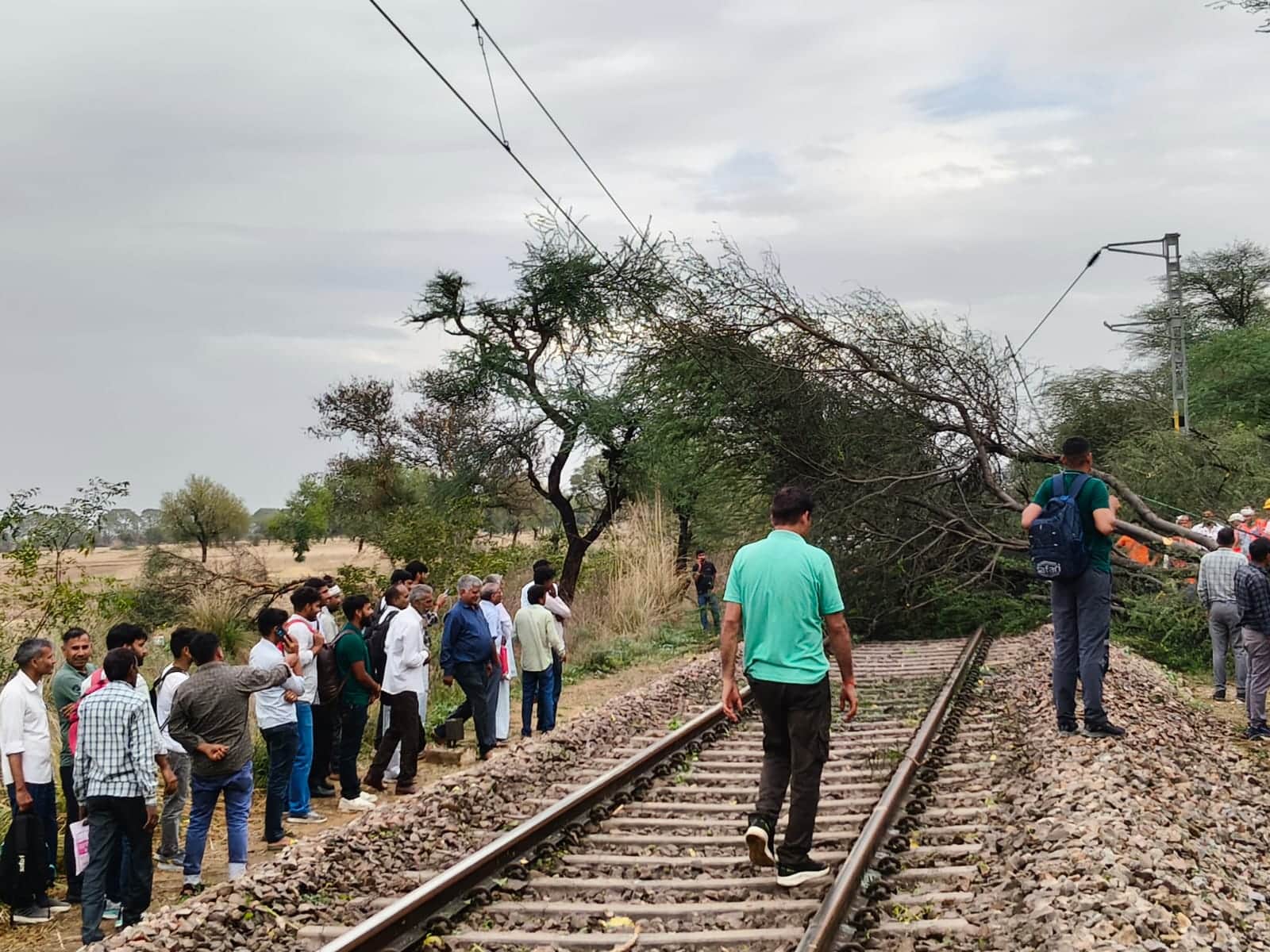 रेलवे ट्रेक पर गिरे पेड़। संवाद
