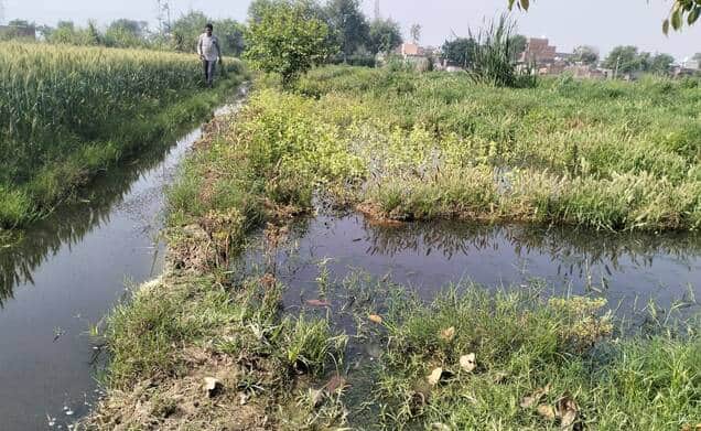 सरावा गांव से गुजर रहे छोइया के ओवर फ्लो होने के बाद खेतों में घुसा गंदा पानी। संवाद