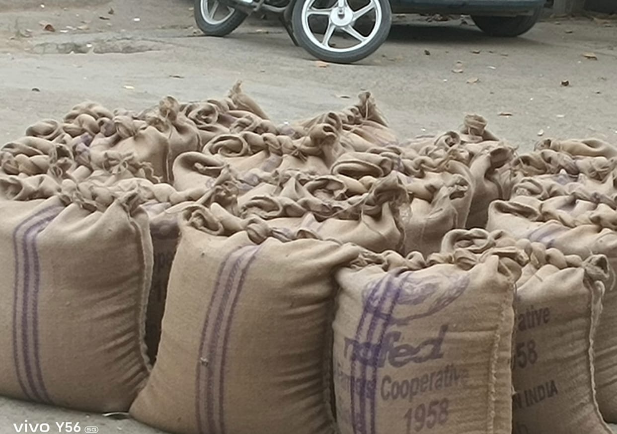 Government procurement of mustard could not start due to holiday