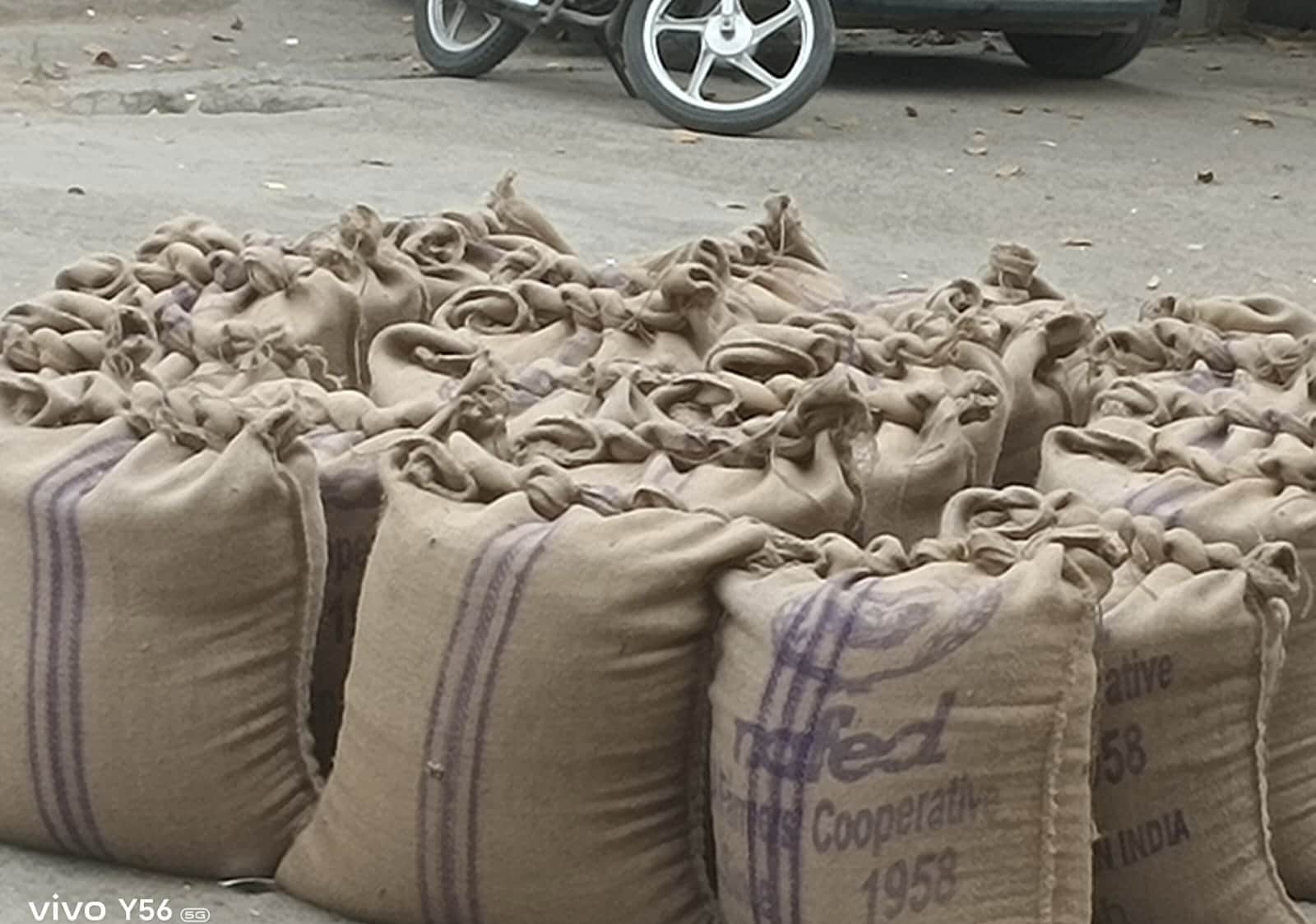 शहर की मंडी में कट्टों में रखी सरसों की फसल। संवाद