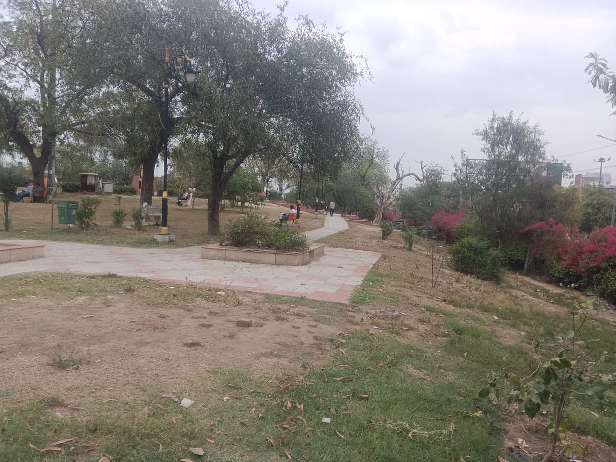 HSVP took on the responsibility of beautifying Town Park