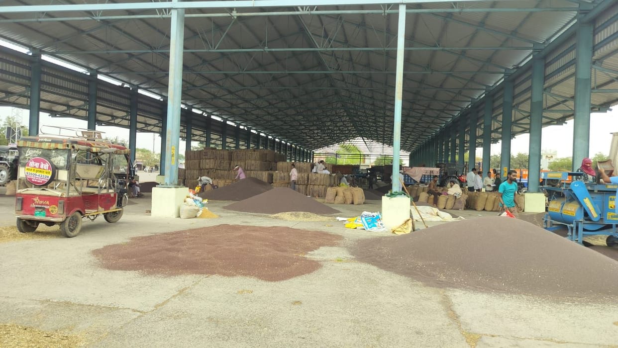 Wheat procurement in the district's 39 grain markets will commence today under new rules.