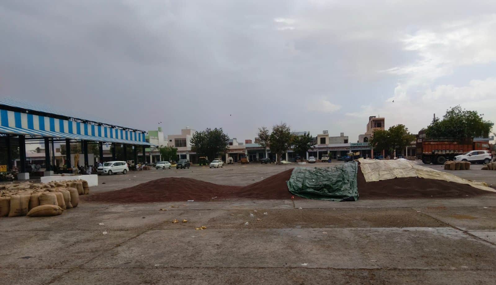 31जेएनडी10: शहर की अनाजमंडी में बूंदाबांदी में भीग रही सरसों। संवाद