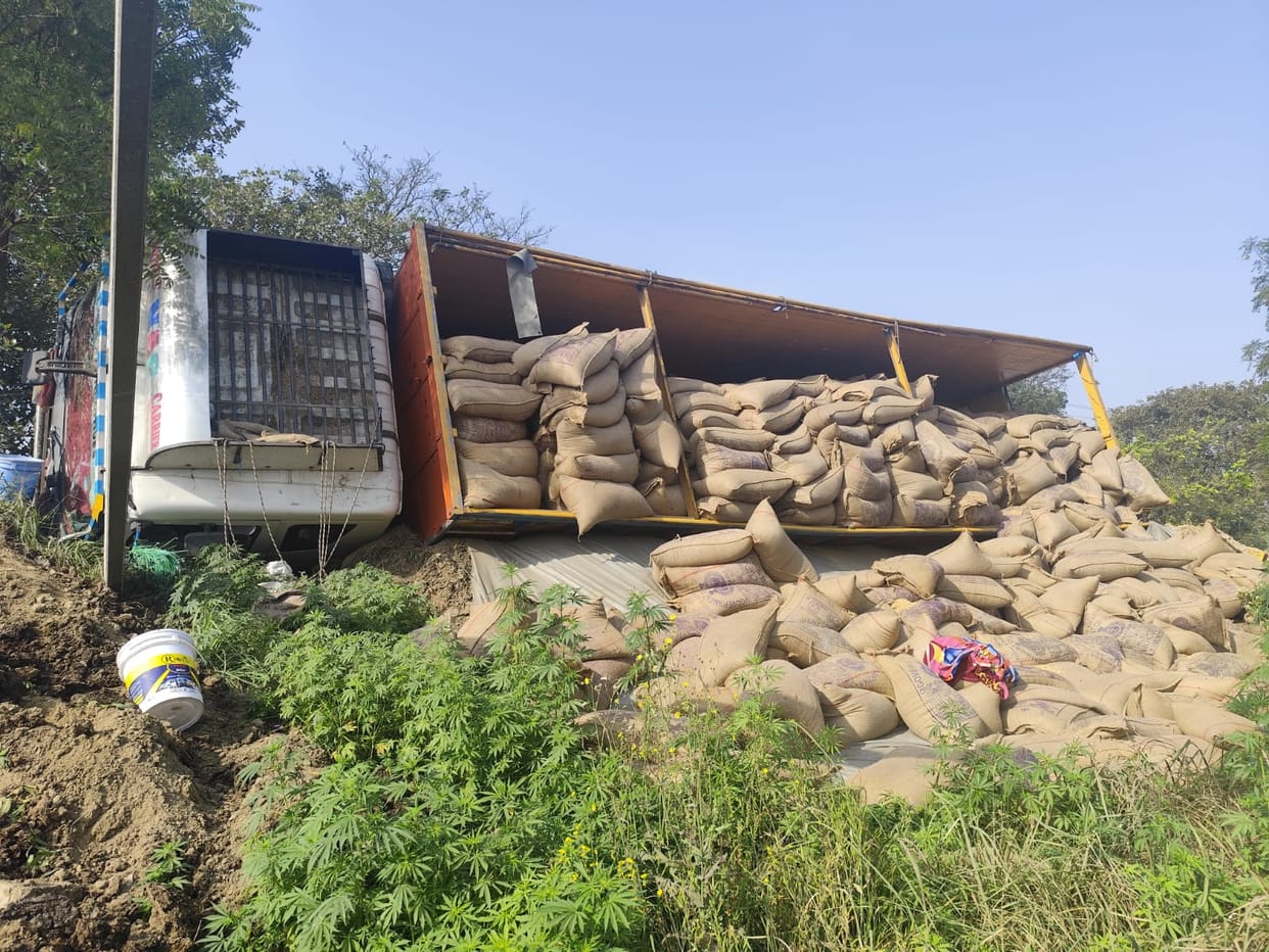 A truck carrying wheat overturned on the Hapur road.