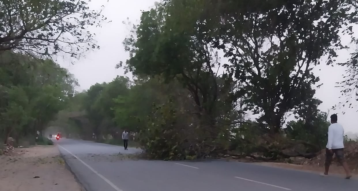 The weather changed, trees fell due to the storm... power went out