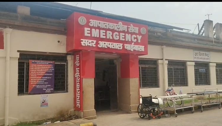 Jharkhand: चाईबासा में जंगली हाथी का कहर; सो रहे लोगों पर किया हमला, महिला की मौत, एक की हालत गंभीर