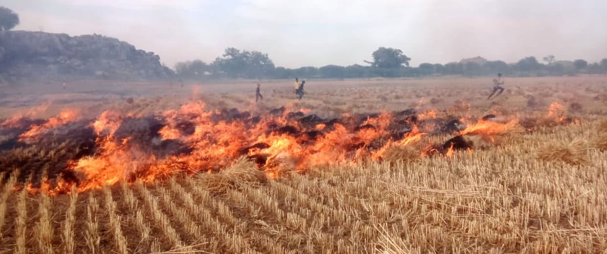 25 bighas of wheat crop belonging to five farmers was gutted in the fire.