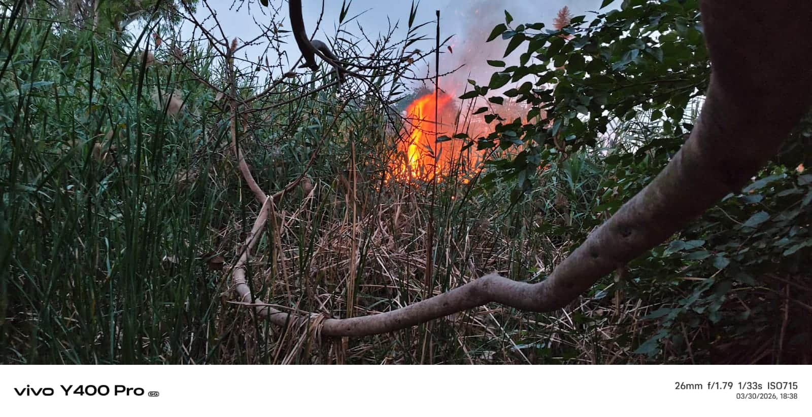 फोटो34 झाड़ियों में लगी आग। संवाद