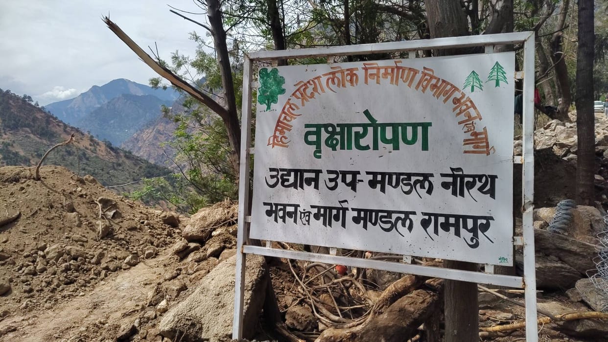 The Public Works Department dumped the debris from the Jury to Sarahan road in the plantation area
