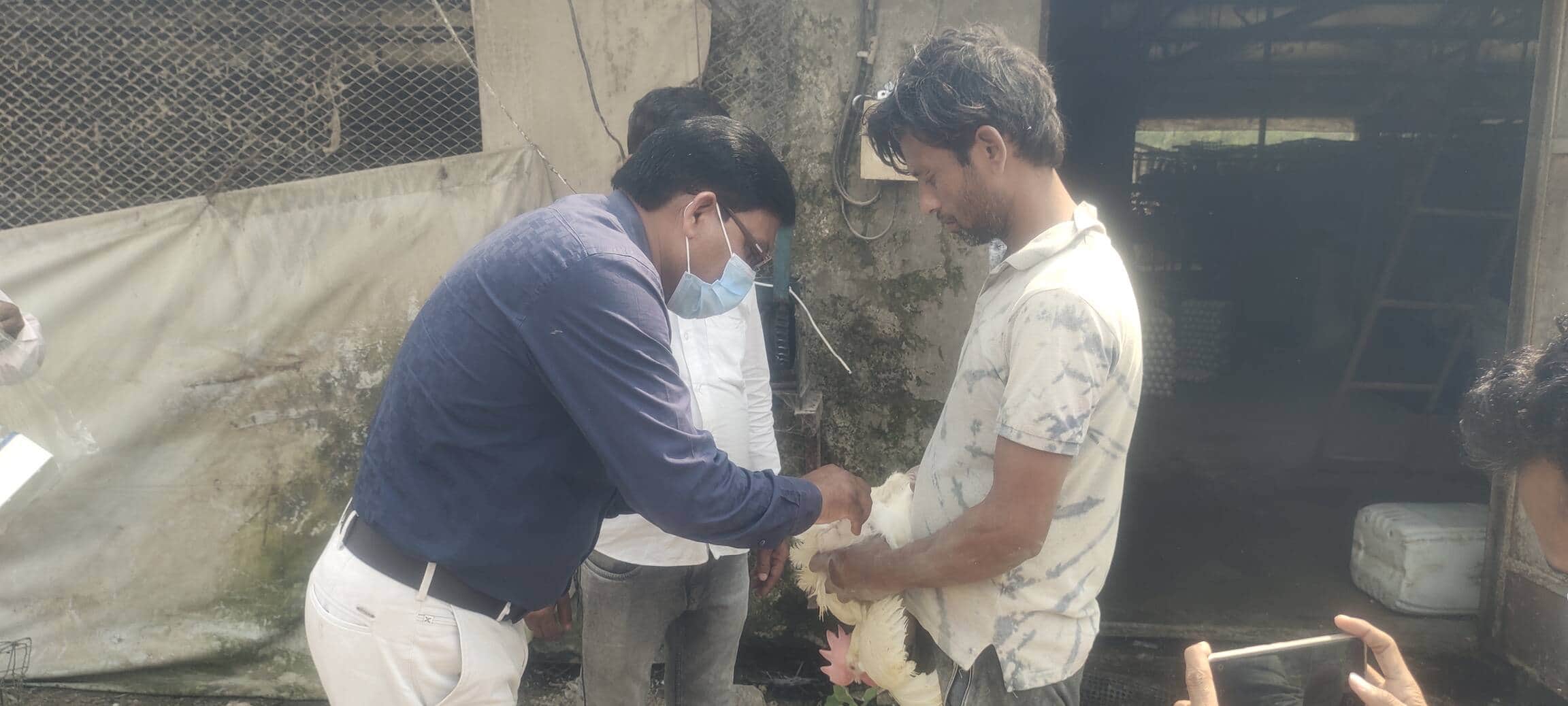 खनुआ हाईटेक लेयर फार्म कैथवलिया उर्फ बरगदही पर पशु विभाग की टीम जांच व नमूने लेते हुए । 