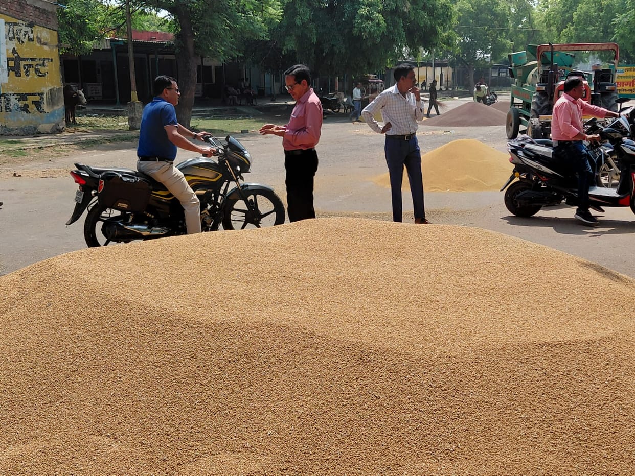 Wheat procurement failed on the first day, with the system bogged down in preparations.