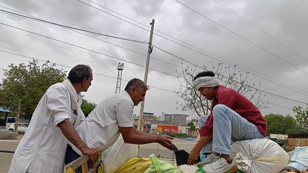 मंडी में सरसों की गुणवत्ता व नमी की जांच करते हुए किसान व आढ़ती। 
