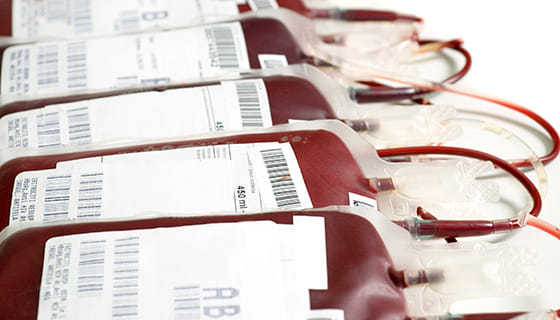 FSDA bans operation of seven blood banks