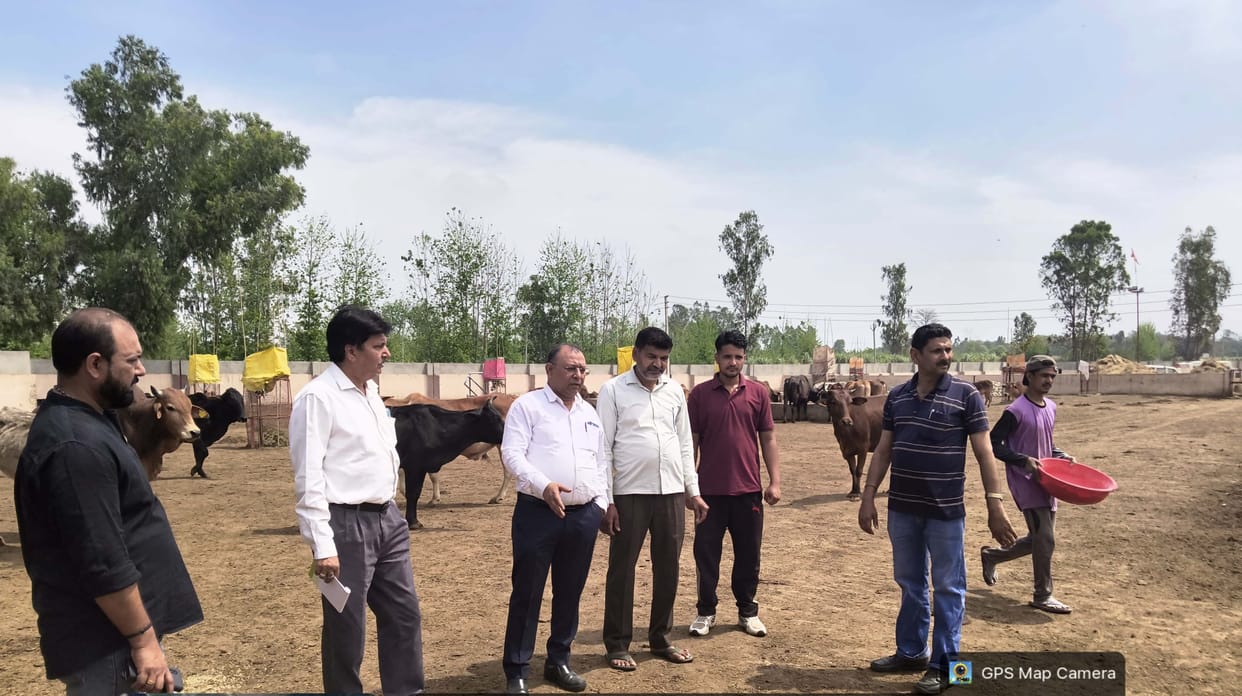Emphasis on increasing income along with cow protection
