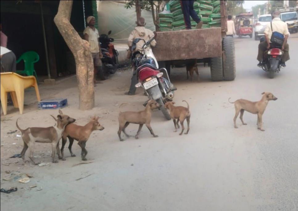A dog bite claimed the life of a cooperative society director