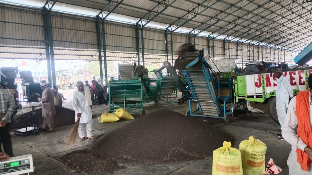 Farmers did not turn up to sell mustard at MSP.