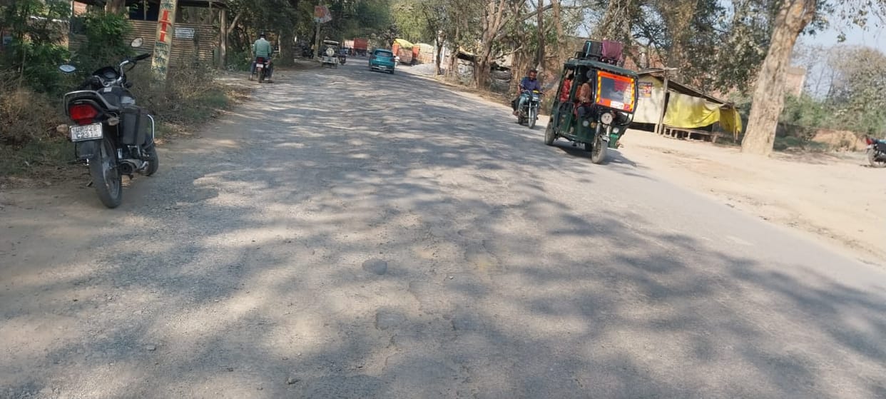 The width of the roads has been reduced, saving houses and greenery.
