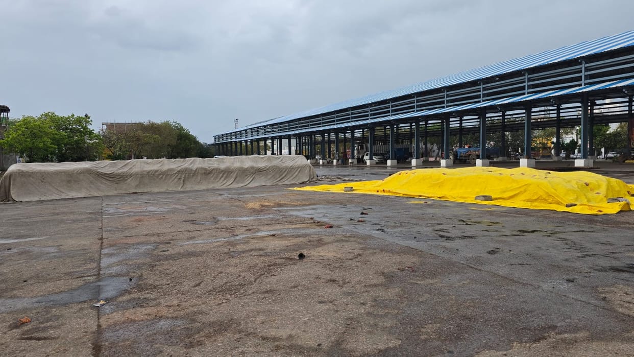 Crop procurement was not done due to rain and moisture