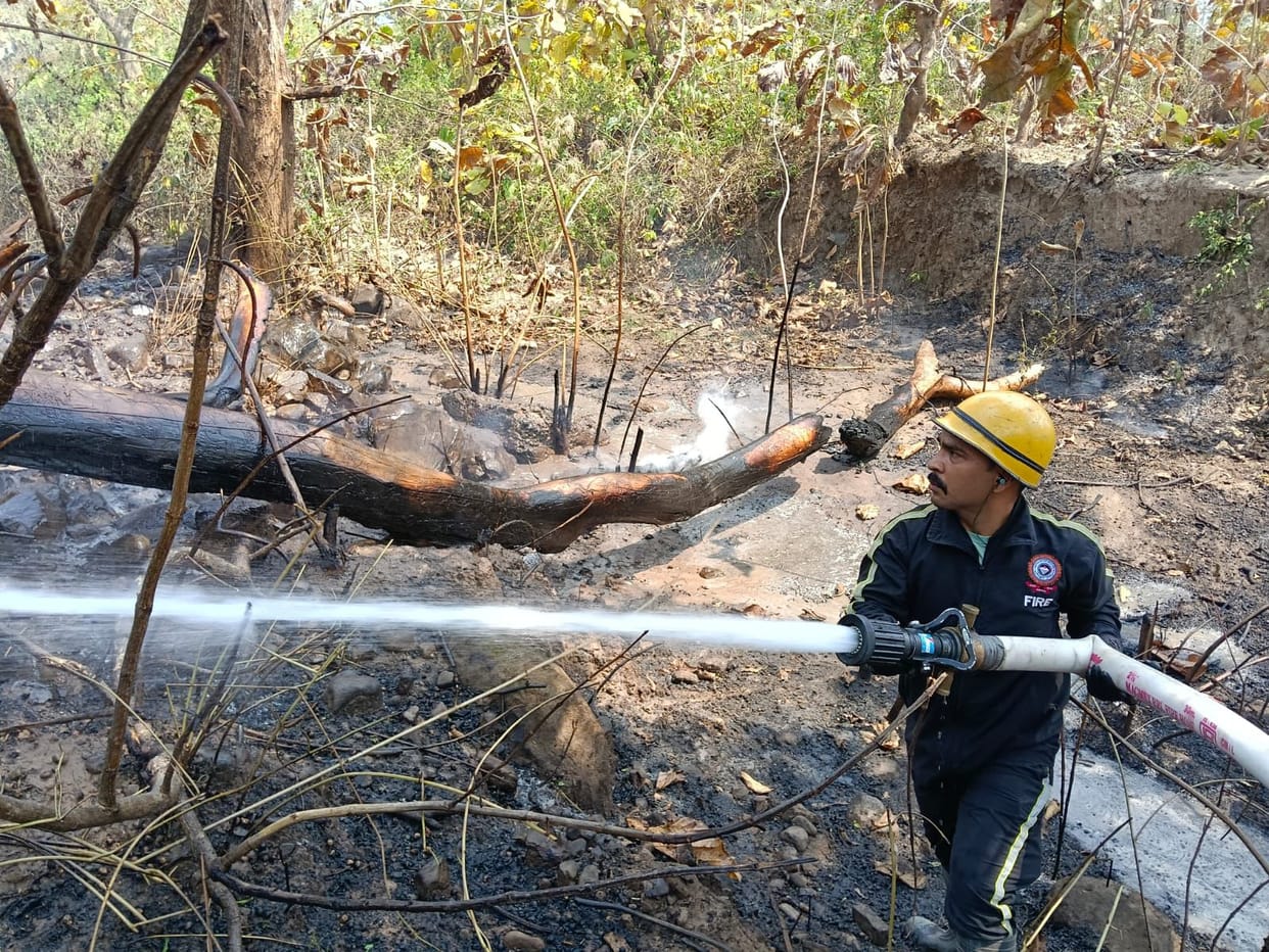 After being extinguished, the fire in Boom forest flared up again and was brought under control.