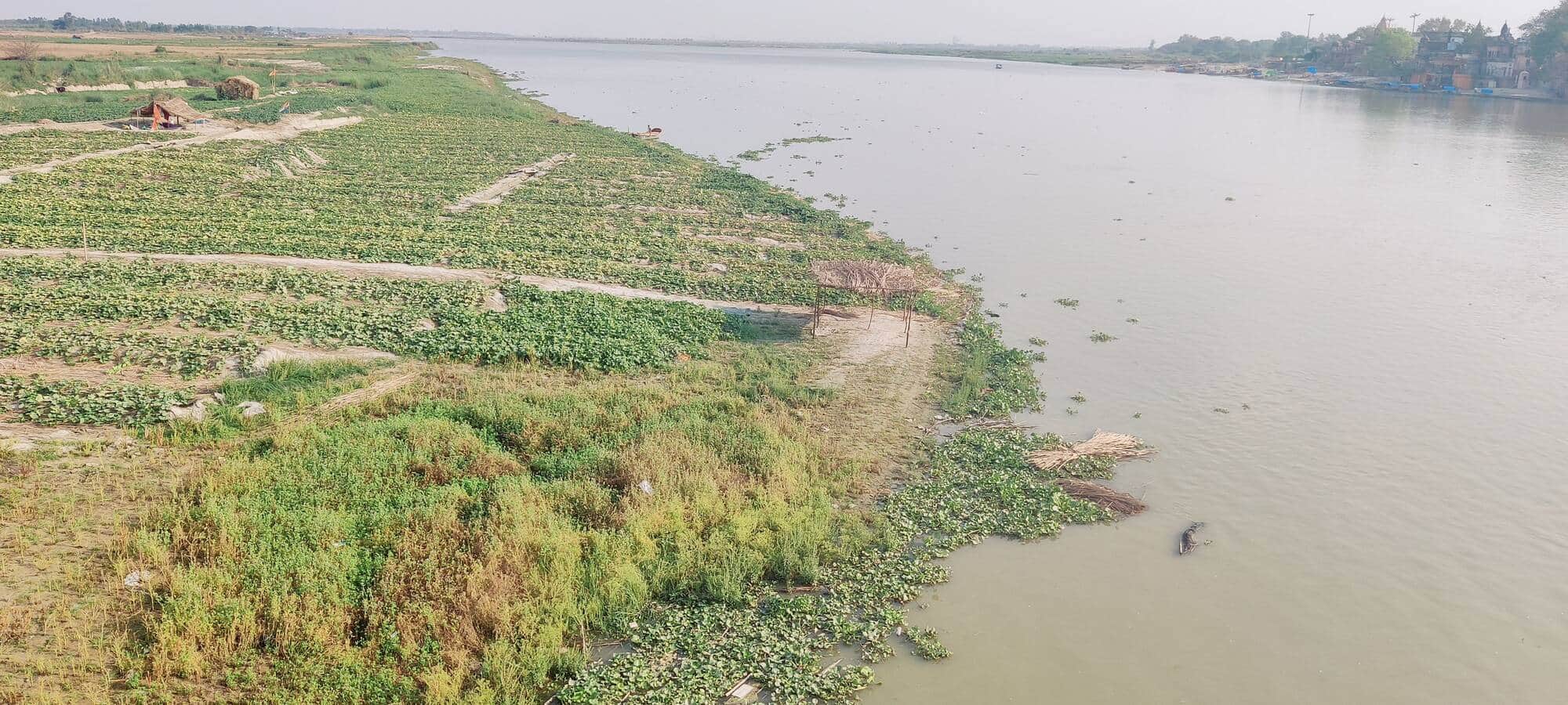 फोटो-19- सदर  तहसील के माना बंगला में खीरा, ककड़ी की फसल तक पहुंचा गंगा का पानी। संवाद