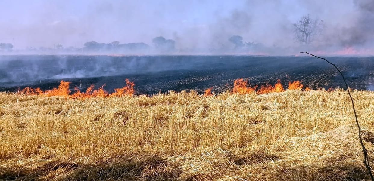 40 bighas of stubble in the fields were burnt due to the fire.