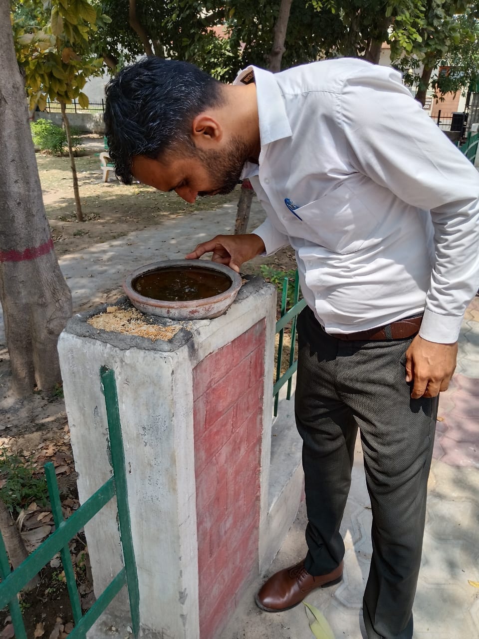 Danger of spread of dengue-malaria, team will go door to door for 15 days to destroy larvae