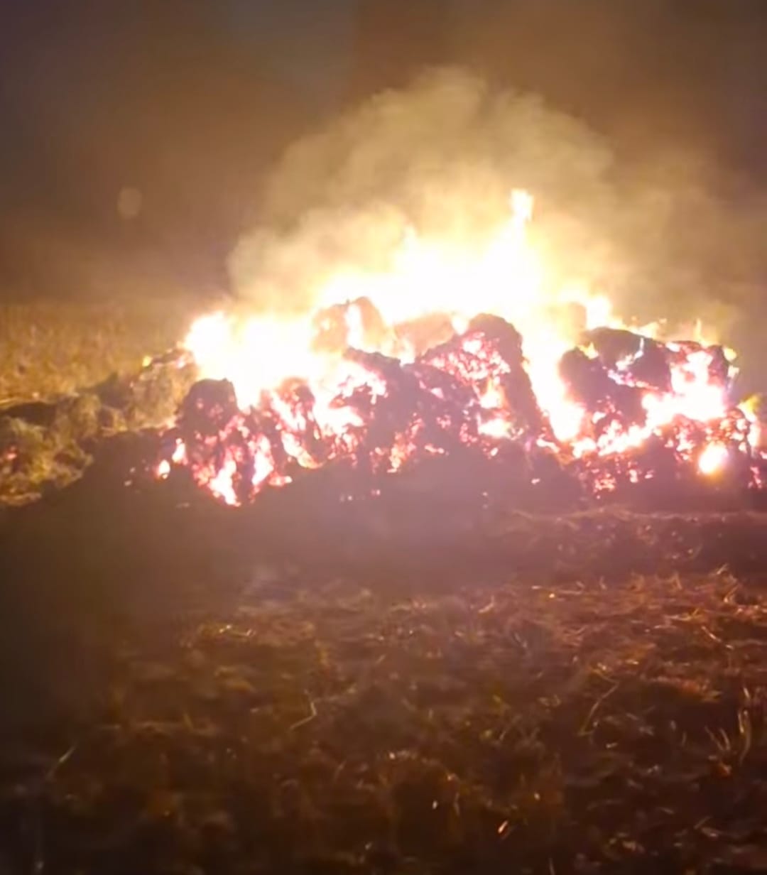 A massive fire in the Chambal ravines, one hectare of forest burnt to ashes