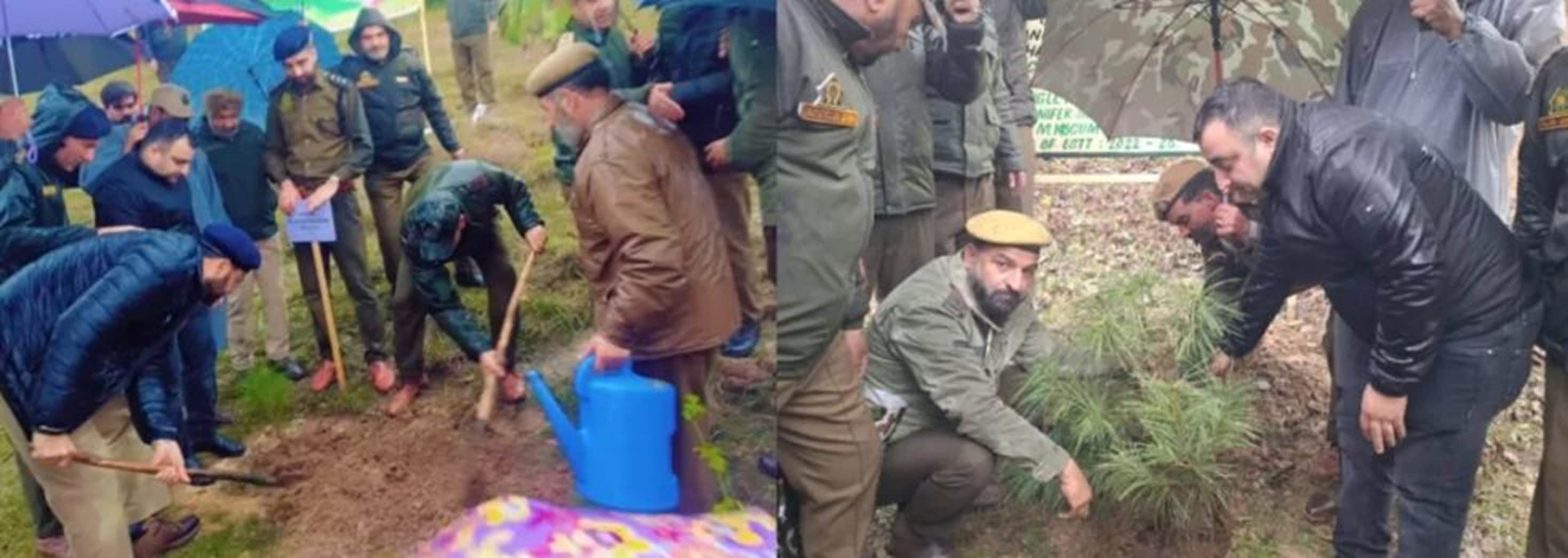 कुपवाड़ा में किया पौधारोपण। स्रोत विभाग