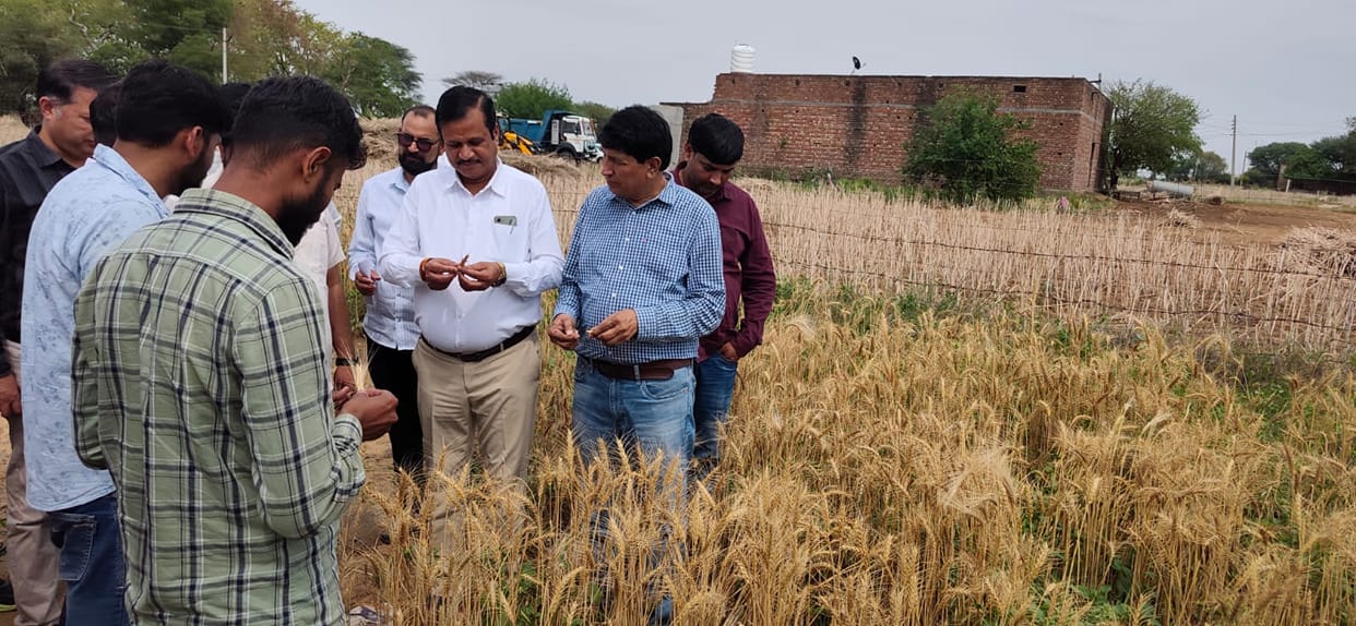 Instructions issued to conduct a survey and prepare a report on crops damaged by hailstorms and rain.